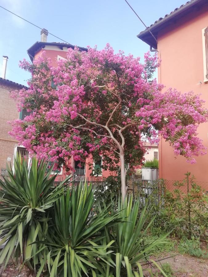 Grigio Perla Panigale, Villetta Con Giardino E Parcheggio Privato Fino A Tre Posti Auto - Un Oasi Di Tranqullita Болонья Екстер'єр фото